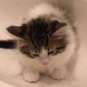 Meet your Posher, Jocelyn